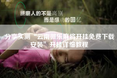 分享实测“云南微乐麻将开挂免费下载安装”开挂详细教程