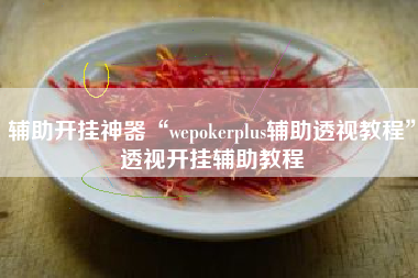 辅助开挂神器“wepokerplus辅助透视教程	”透视开挂辅助教程