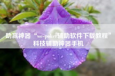 助赢神器“we-poker辅助软件下载教程	”科技辅助神器手机