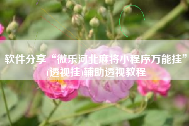 软件分享“微乐河北麻将小程序万能挂	”(透视挂)辅助透视教程