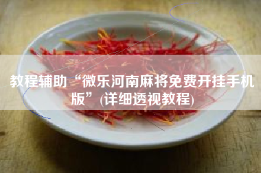 教程辅助“微乐河南麻将免费开挂手机版”(详细透视教程)