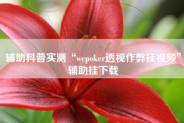 辅助科普实测“wepoker透视作弊挂视频”辅助挂下载
