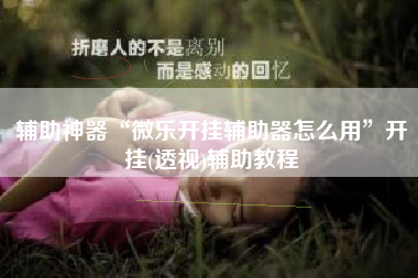 辅助神器“微乐开挂辅助器怎么用	”开挂(透视)辅助教程