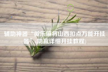 辅助神器“微乐麻将山西扣点万能开挂器”(助赢详细开挂教程)