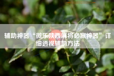 辅助神器“微乐陕西麻将必赢神器”详细透视辅助方法