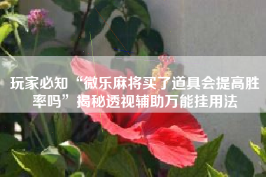 玩家必知“微乐麻将买了道具会提高胜率吗	”揭秘透视辅助万能挂用法