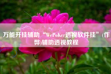 万能开挂辅助“WePoKer透视软件挂	”(作弊)辅助透视教程