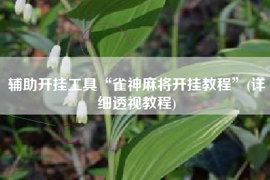 辅助开挂工具“雀神麻将开挂教程	”(详细透视教程)