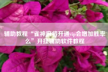 辅助教程“雀神麻将开通vip会增加胜率么”开挂辅助软件教程