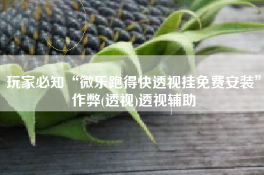 玩家必知“微乐跑得快透视挂免费安装”作弊(透视)透视辅助