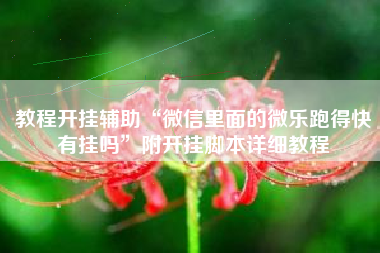 教程开挂辅助“微信里面的微乐跑得快有挂吗	”附开挂脚本详细教程