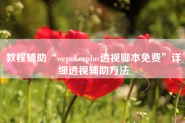 教程辅助“wepokerplus透视脚本免费	”详细透视辅助方法