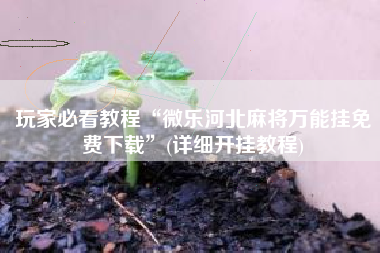 玩家必看教程“微乐河北麻将万能挂免费下载	”(详细开挂教程)