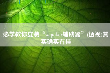 必学教你安装“wepoker辅助器”(透视)其实确实有挂 必学教你安装“wepoker辅助器”(透视)其实确实有挂