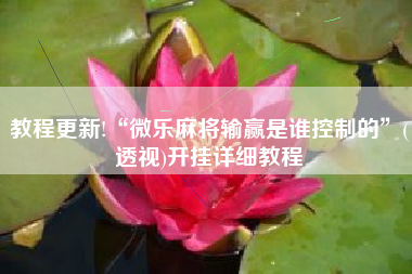 教程更新!“微乐麻将输赢是谁控制的”(透视)开挂详细教程