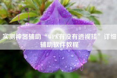 实测神器辅助“WPK有没有透视挂	”详细辅助软件教程