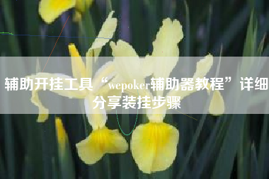 辅助开挂工具“wepoker辅助器教程	”详细分享装挂步骤