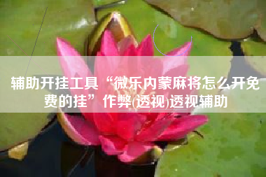 辅助开挂工具“微乐内蒙麻将怎么开免费的挂	”作弊(透视)透视辅助