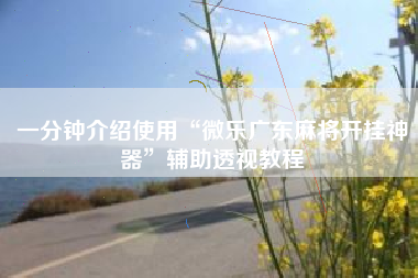 一分钟介绍使用“微乐广东麻将开挂神器”辅助透视教程