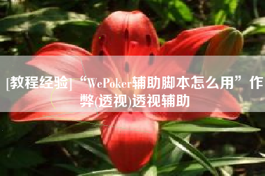 [教程经验]“WePoker辅助脚本怎么用”作弊(透视)透视辅助