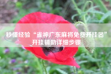 秒懂经验“雀神广东麻将免费开挂器”开挂辅助详细步骤