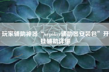 玩家辅助神器“wepoker辅助器安装包”开挂辅助详细