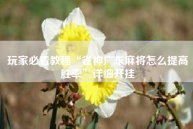 玩家必看教程“雀神广东麻将怎么提高胜率	”详细开挂