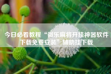 今日必看教程“微乐麻将开挂神器软件下载免费安装”辅助挂下载