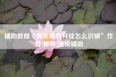 辅助教程“微乐麻将开挂怎么识破	”作弊(透视)透视辅助