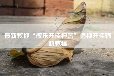 最新教你“微乐开挂神器	”透视开挂辅助教程