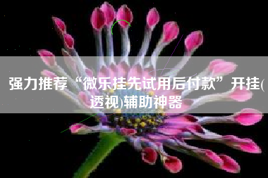 强力推荐“微乐挂先试用后付款”开挂(透视)辅助神器