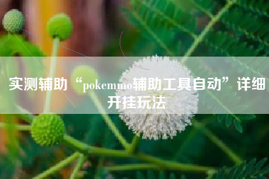 实测辅助“pokemmo辅助工具自动	”详细开挂玩法