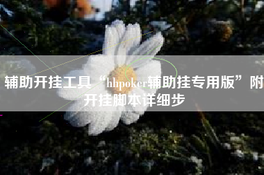 辅助开挂工具“hhpoker辅助挂专用版	”附开挂脚本详细步