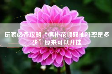 玩家必备攻略“德扑花顺双抽胜率是多少”原来可以开挂