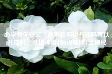 必学教你安装“微乐跑得快有挂吗可以开挂吗”开挂神器{透视辅助}全揭秘