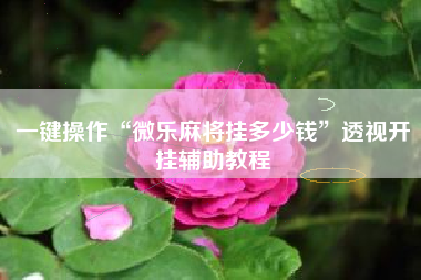 一键操作“微乐麻将挂多少钱”透视开挂辅助教程