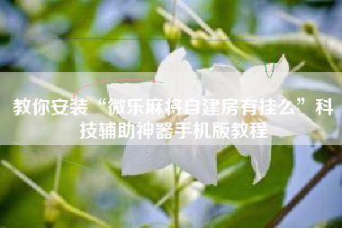 教你安装“微乐麻将自建房有挂么”科技辅助神器手机版教程