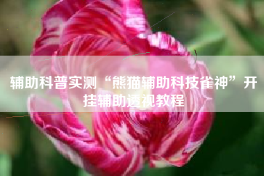 辅助科普实测“熊猫辅助科技雀神	”开挂辅助透视教程