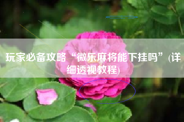 玩家必备攻略“微乐麻将能下挂吗”(详细透视教程)