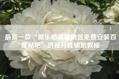 最新一款“微乐必赢辅助器免费安装百度贴吧	”透视开挂辅助教程