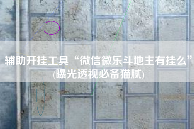 辅助开挂工具“微信微乐斗地主有挂么”(曝光透视必备猫腻)