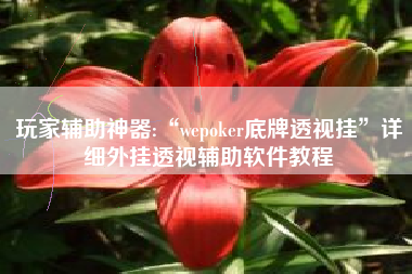 玩家辅助神器:“wepoker底牌透视挂	”详细外挂透视辅助软件教程