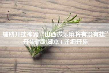 辅助开挂神器“山西微乐麻将有没有挂”开挂辅助脚本+详细开挂