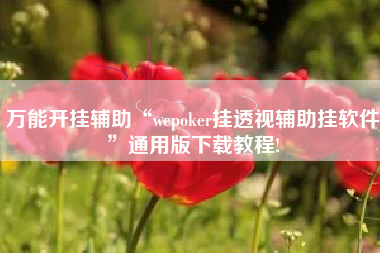 万能开挂辅助“wepoker挂透视辅助挂软件”通用版下载教程!