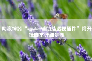 助赢神器“agpoker辅助挂透视插件”附开挂脚本详细步骤