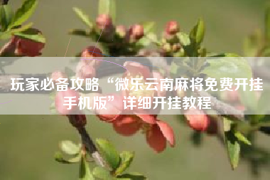 玩家必备攻略“微乐云南麻将免费开挂手机版	”详细开挂教程