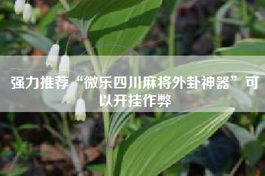 强力推荐“微乐四川麻将外卦神器”可以开挂作弊