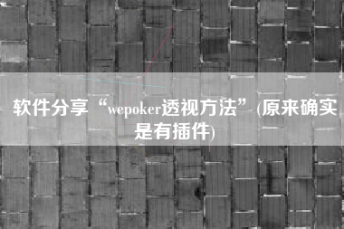 软件分享“wepoker透视方法”(原来确实是有插件)