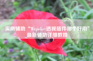 实测辅助“Wepoker透视插件哪个好用”最新辅助详细教程