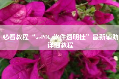 必看教程“wePOke软件透明挂”最新辅助详细教程 必看教程“wePOke软件透明挂”最新辅助详细教程